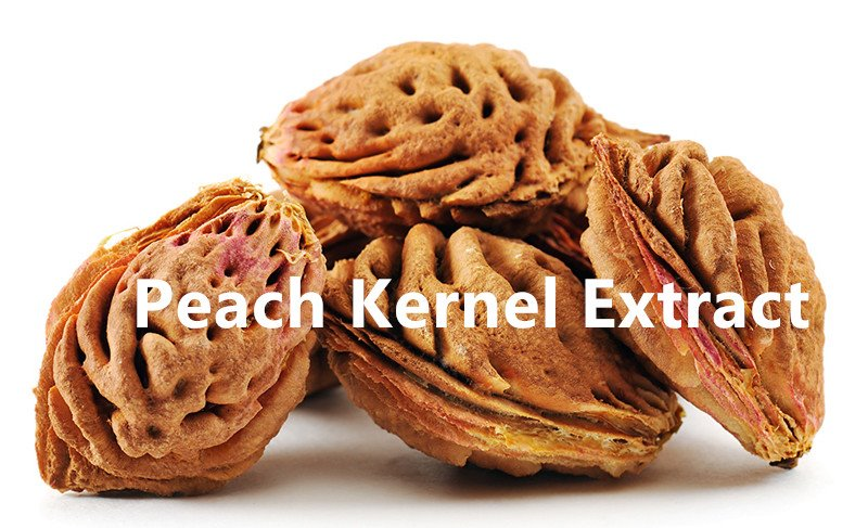 Peach kernel.png